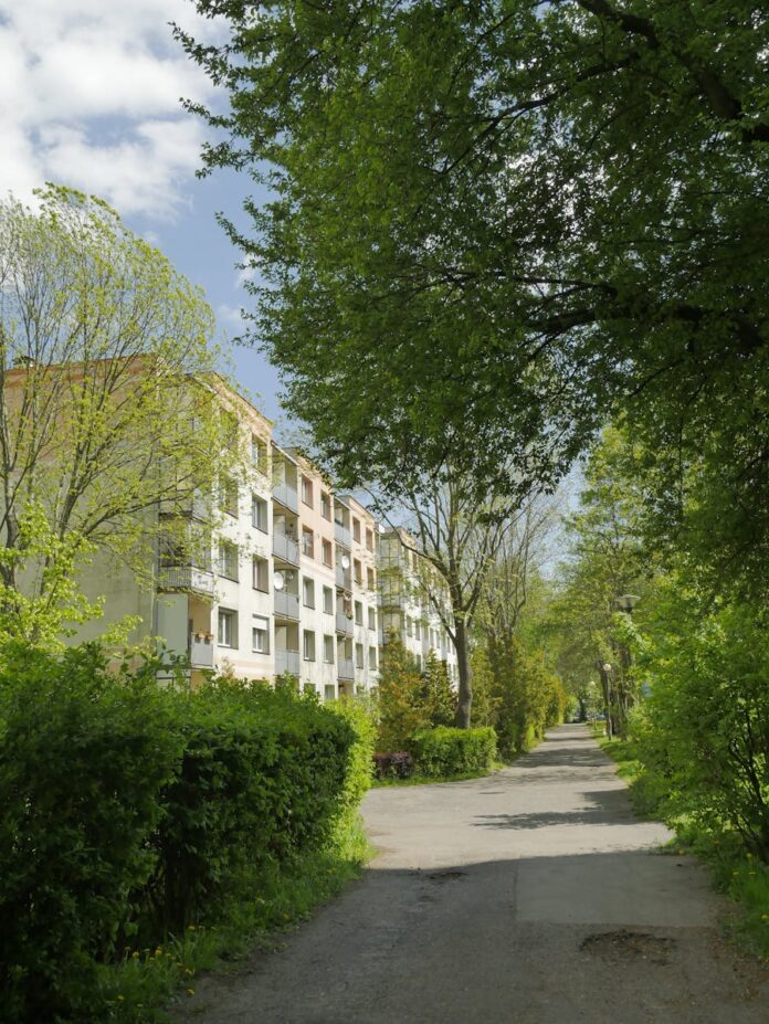 Jakie są najczęstsze wyzwania dla lokalnych przedsiębiorców?