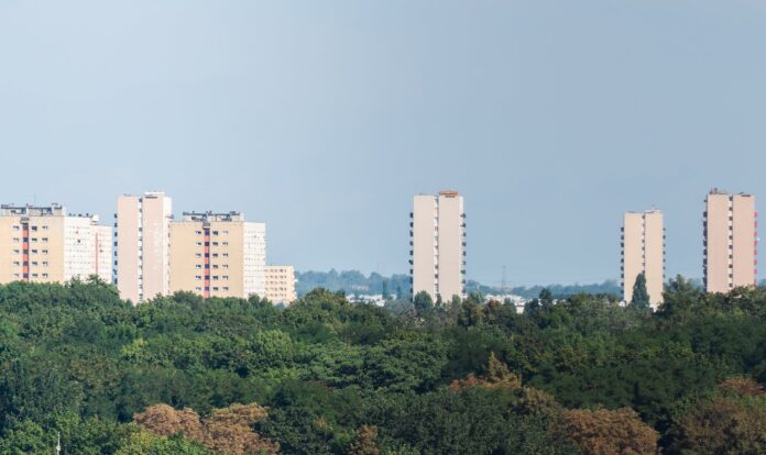 Jakie materiały wykończeniowe są najczęściej wybierane do remontów domów?